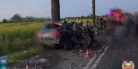 В Черняховском районе водитель Audi врезался в дерево и погиб - KaliningradNews.Ru