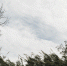 image - GazetaRB.Ru
