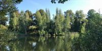 Завтра отключение воды в посёлке Электрик - Allelets.Ru