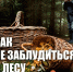 Как вернуться из леса с полным лукошком и без происшествий? - Городской округ