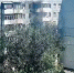 В Ростове 20 человек эвакуировали из горящей многоэтажки на Таганрогской - DonDay.Ru