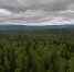 Нейросеть - Syktyvkar.1istochnik.Ru