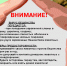 01.09.2026 | Памятка для населения по профилактике бешенства - Главное управление по архивному делу