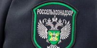 В Конаковском округе землевладельца заставят очистить пашню от борщевика - Комсомольская Правда