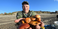 В Кировске, Апатитах и Мурманске пройдет «Грибной фестиваль» - КП Мурманск