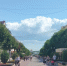 Росгвардия задержала 17 орловцев - OrelGrad.Ru