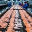 На Сахалине восстановят комплекс по переработке морепродуктов - Spbdnevnik.ru