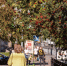 Много примет в сентябре связано с рябиной | Источник: Александр Ощепков / NGS.RU - 76.Ru