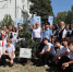 На курорте продолжают высаживать деревья - Администрация г. Геленджика