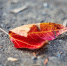 Фото © magnific.com - KaspyInfo.Ru