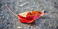 Фото © magnific.com - KaspyInfo.Ru