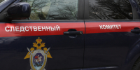 Адвокат объяснила, какое наказание грозит школьницам за убийство 12-летнего мальчика - Сетевое издание Толк