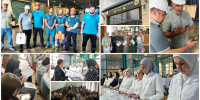 photo-collage.png (20).png - Избирательная комиссия