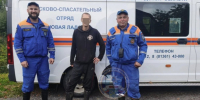 Под Волховом грибник потерялся в километре от дома - 47 новостей