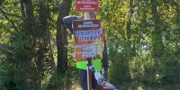 Новое место отдыха появилось на территории Северо-Западного лесничества Ленинградской области - Управление лесами