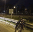 Два подростка в Ярославле госпитализированы после ДТП на питбайке - YarNews.Ru