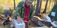 Досрочное голосование стартовало в отдаленных территориях Приамурья - ИА Порт Амур