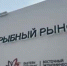 На ВЭФ открылся павильон "Дом сокола" с живыми хищными птицами - SakhalinMedia.Ru