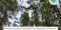 Сообщения о медведях у села Маган не подтвердились - Yakutia-Daily.Ru