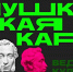 Федеральному проекту «Пушкинская карта» - 5 лет! - ТРК 27 плюс