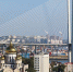 asbi0bgy6pylosq8zyua5kff7ep6jk4r.jpg - Primorye24.Ru
