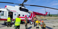 Автор: Пресс-служба краевого Лесопожарного центра - Министерство природных ресурсов и лесного комплекса