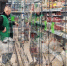 Цены на базовый набор выросли: сколько стоит продуктовый минимум в Кургане - Область 45