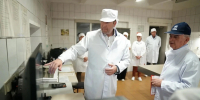 Кемеровский завод будет производить моцареллу и брынзу - Газета Комсомольская правда