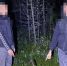 В Нерюнгри двое 20-летних жителей Иркутской области осуждены за покушение на сбыт наркотиков в особо крупном размере - ИА SakhaTime