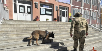 Росгвардия обеспечила безопасность школьных линеек в Новосибирской области - Росгвардия