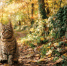 cA3KvECvKOhVSIssaAO0etDo8pdIND6a3Vqf4U1hE4ya9eL3Xsw6Pcs1bSJMiKWbudHq38m-HTBIGh6CteY0grS_ - ЗА Новомосковск