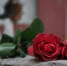 Фото: из сети интернет - E-Osetia.Ru