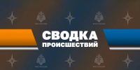 СВОДКА 01 Чусовой - Чусовской городской округ