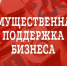 Имущественная поддержка субъектам МСП - Бикинский район