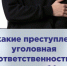 За какие преступления наступает уголовная ответсвенность с 14 лет - Купинский район
