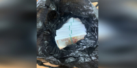 JPG Файл - УМВД Новгородской области