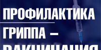 Основной способ защиты от гриппа - вакцинация - Город Владимир