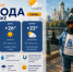 Плавное похолодание придет в Воронеж с началом осени - Bloknot-Voronezh.Ru
