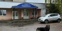 В Орловской области обновили план борьбы с бешенством - OrelGrad.Ru