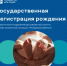 Государственная регистрация рождения - Министерство цифрового развития и связи