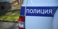 Под Красноярском мужчина раздавил соседскую хаски о забор и добил камнем - Комсомольская Правда