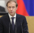 Мантуров назвал критерии для применения указа о временном управлении - ИА Общественная служба новостей