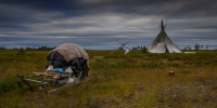 Фото: Evgeny Kuzhilev / Shutterstock / Fotodom - Красный Север