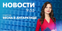 Новости Петербурга к 9:55 - tvspb.ru - ТК Санкт-Петербург