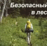 Как безопасно ходить в лес - Кувандыкский городской округ