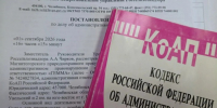 У производителя мясокостной муки под Челябинском нашли трупы животных на полу - Агентство новостей Доступ