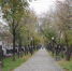 фото: АПИ Урал - АПИ