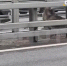 Лось со сломанной ногой застрял в отбойнике на Киевском шоссе - M24.Ru