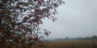 Сохранятся грозы и усиление ветра - Газета Вохомская правда