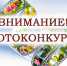 Министерство труда, социальной защиты и демографии Пензенской области объявляет фотоконкурс - Шемышейский район
